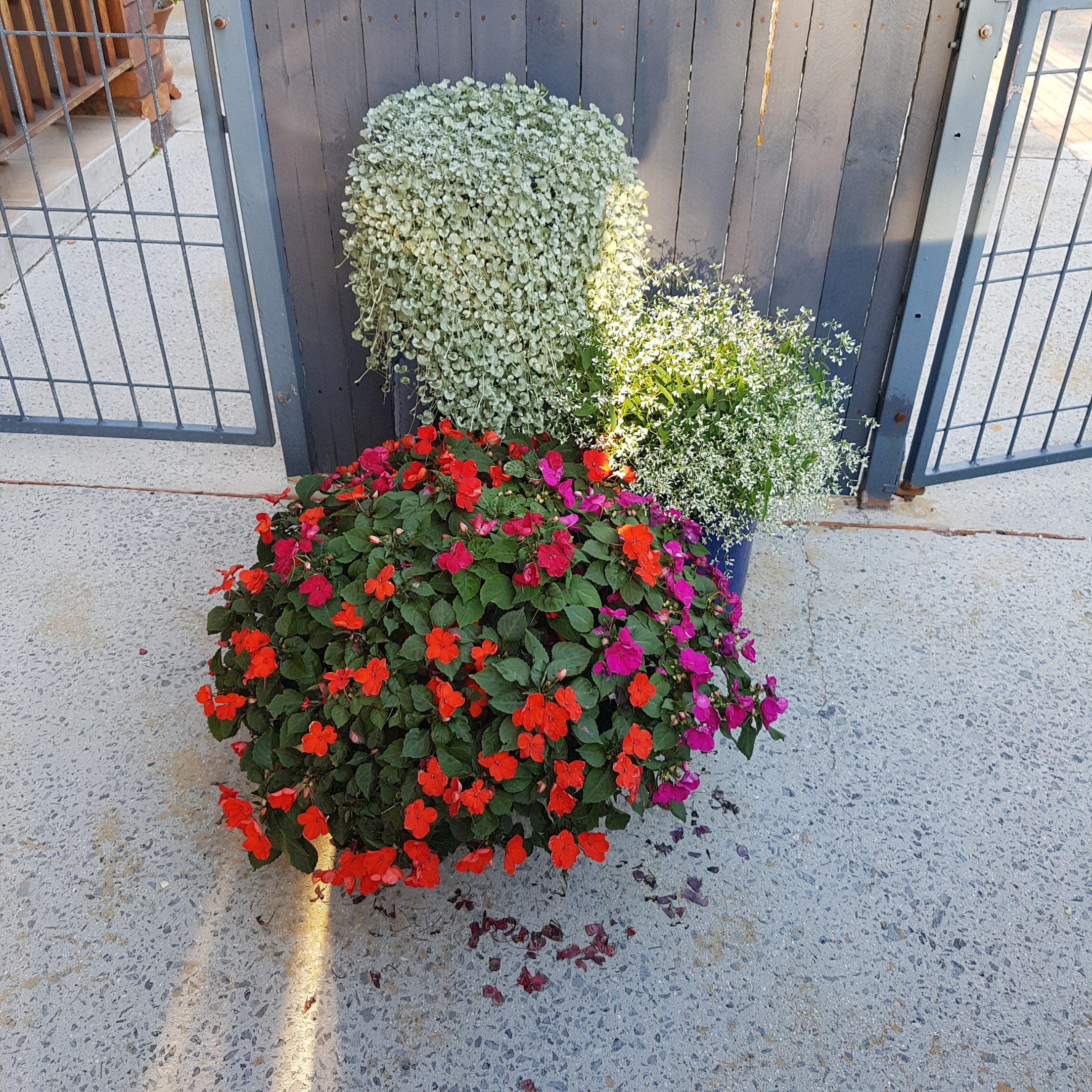 pot garden