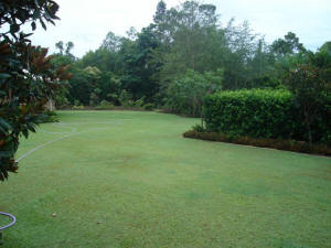 formal garden