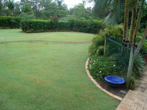 formal garden